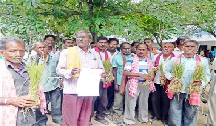बोनस से वंचित, समर्थन मूल्य पर मांगा मुआवजा बोनस से वंचित, समर्थन मूल्य पर मांगा मुआवजा