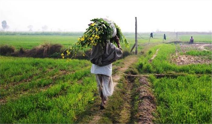 छत्तीसगढ़: किसानों को 2100 करोड़ रूपए का बोनस वितरण का सिलसिला कल से शुरू