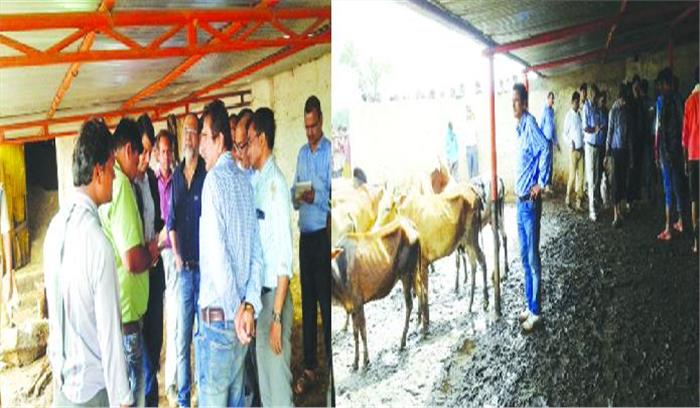 कमिश्नर और कलेक्टर ने गौशाला का किया आकस्मिक निरीक्षण
