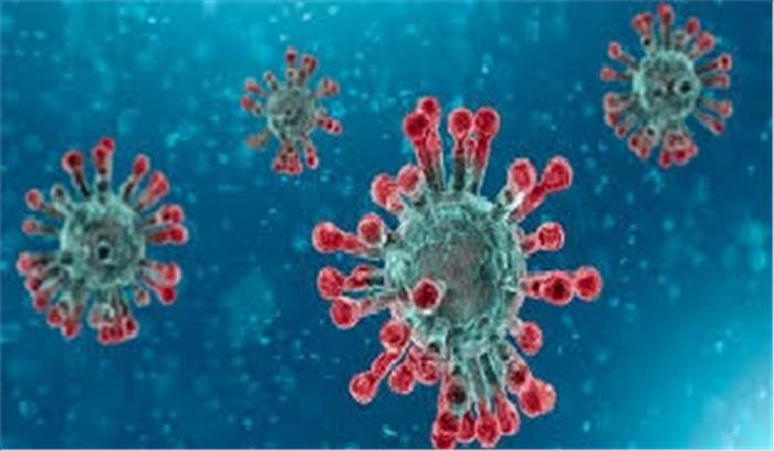 ब्राजील में कोरोना के 14 लाख से अधिक मामले ब्राजील में कोरोना के 14 लाख से अधिक मामले