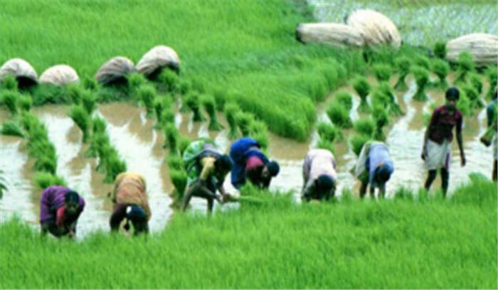 बजट में कृषि को प्रोत्साहन देने की जरूरत
