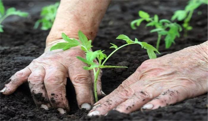 बुंदेलखंड के किसानों को दी जा रही है ऑर्गेनिक खेती की जानकारी