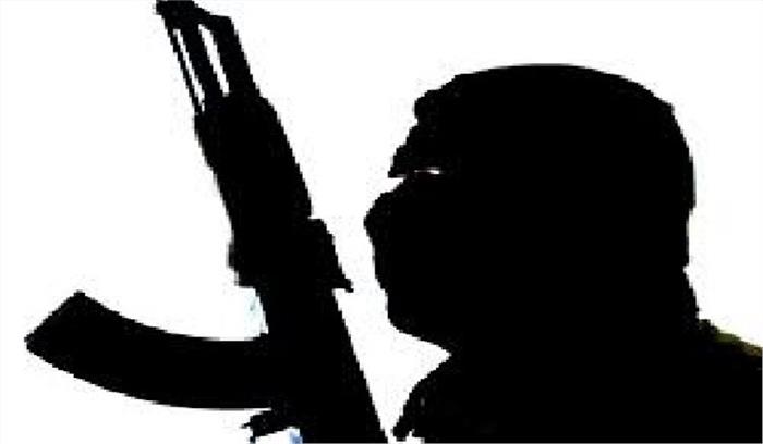 मिस्र: पुलिस मुठभेड़ में 14 आतंकवादी ढेर