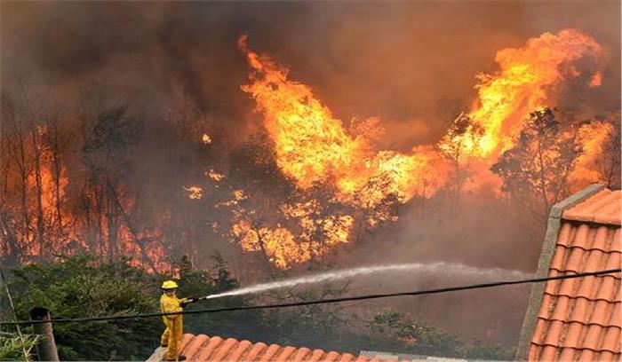 कैलिफोर्निया के जंगल में लगी आग में मृतकों की संख्या बढ़कर 29 हुई