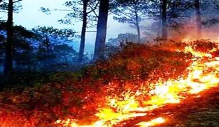 कैलिफोर्निया के जंगल में लगी आग, 2 मरे