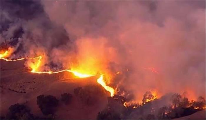 कैलिफोर्निया के जंगल में भीषण आग, आपातकाल की घोषणा कैलिफोर्निया के जंगल में भीषण आग, आपातकाल की घोषणा
