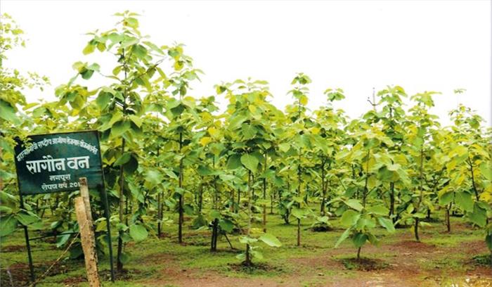 औद्योगिक इकाईयों के आस-पास लगेंगे पौधे