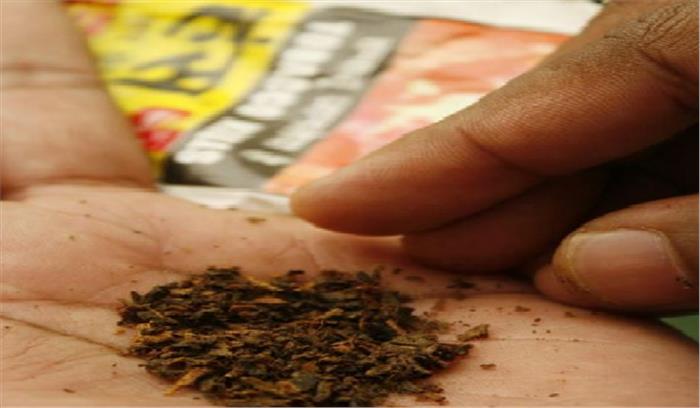 नॉलेज पार्क में तंबाकू गुटखा बिक्री के खिलाफ चला अभियान 