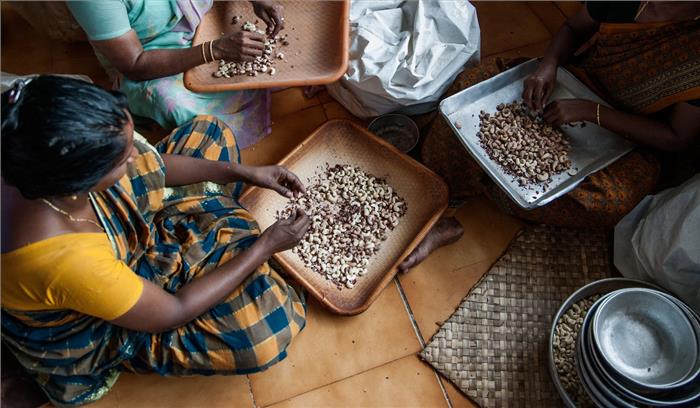 काजू फैक्टरियों के बंद होने से मजदूरों का जीवन-निर्वाह मुश्किल