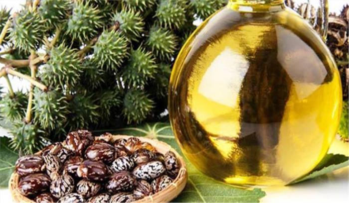 इस साल किसानों के लिए अरंडी की मॉडल खेती लाभप्रद रही 