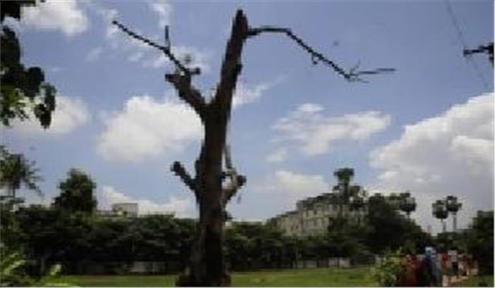 राजधानी  दिल्ली में बदली छाई ,शाम को हल्की बारिश होने की संभावना