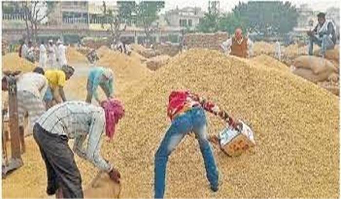 हरियाणा की मंडियों में 74.67 लाख टन से अधिक धान की आवक