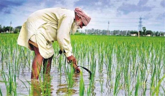 पंजाब ने जम्मू कश्मीर के किसानों के लिये प्रशिक्षण शिविर लगाने का दिया आश्वासन