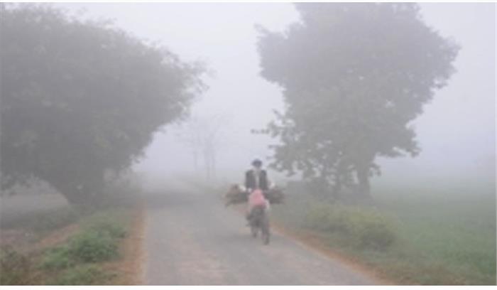 पंजाब के हलवारा में तापमान 0.3 डिग्री सेल्सियस