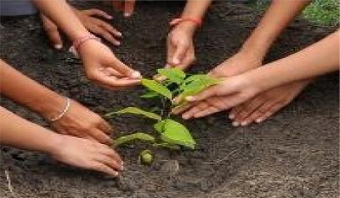 रोटरी उत्तर भारत में 15 लाख पौधे लगाएगा