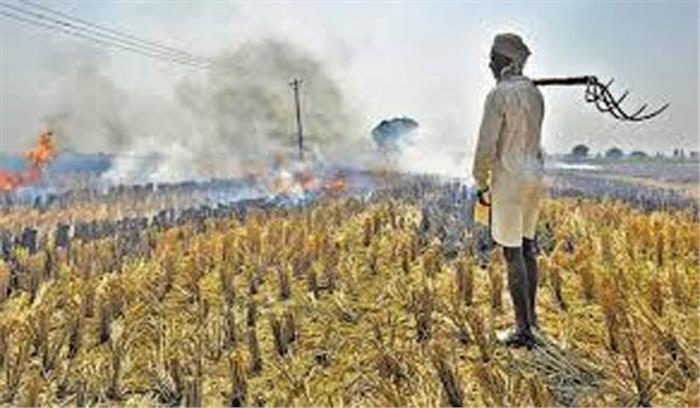 पंजाब सरकार का किसानों से पराली नहीं जलाने का आग्रह पंजाब सरकार का किसानों से पराली नहीं जलाने का आग्रह