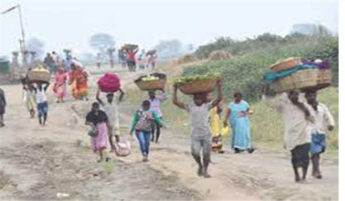 पर्यावरण दिवस : बेमौसम बारिश, ओलावृष्टि, लॉकडाउन ने तोड़ी किसानों की कमर, बैंकों का कर्ज बना सदमा