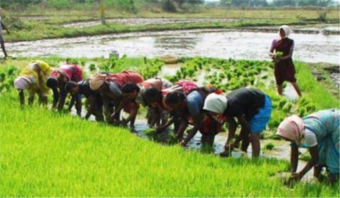 कृषि विशेषज्ञ नेल जयरामन का निधन