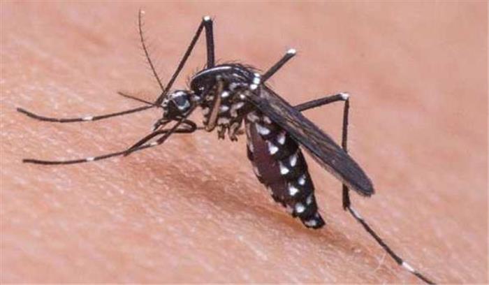 तमिलनाडु के तिरुवल्लूर में डेंगू से दो लोगों की मौत