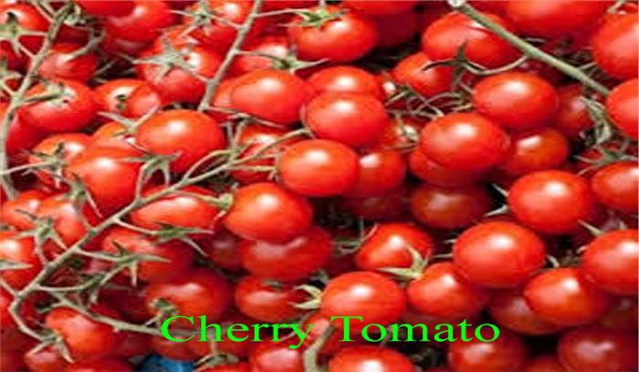 कैंसर और हृदय रोग रोधी गुणों ने चेरी टमाटर की मांग बढायी
