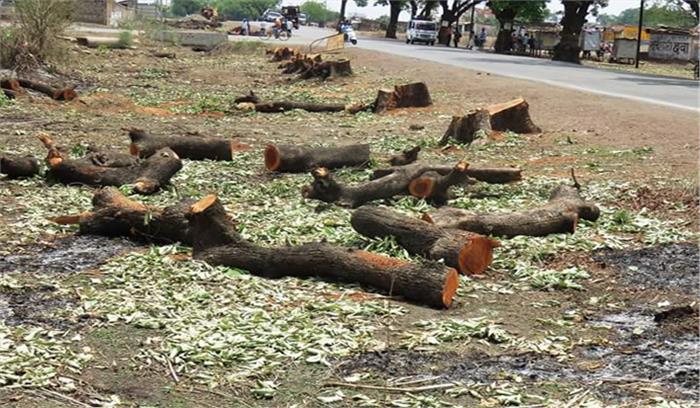 छग : रायपुर-बिलासपुर राजमार्ग के लिए 10,851 पेड़ों की कटाई