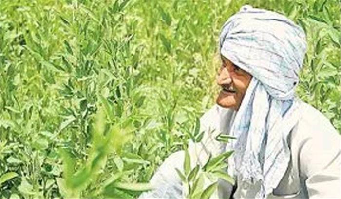 छग : इजराइली अधिकारियों ने दिए खेती से आय दोगुनी करने के मंत्र छग : इजराइली अधिकारियों ने दिए खेती से आय दोगुनी करने के मंत्र