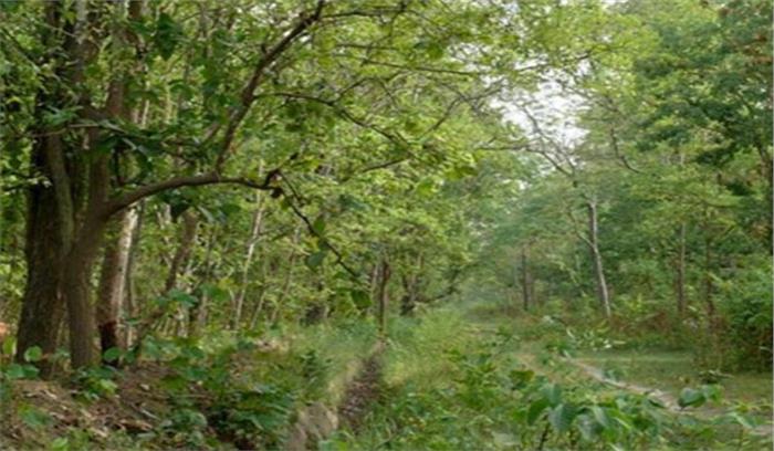 छत्तीसगढ़: वन विभाग को बाघ की मौजूदगी के प्रमाण मिले