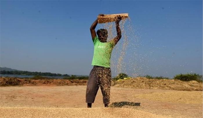 छत्तीसगढ़ में पड़ोसी राज्यों से धान की आवक रोकना चुनौती