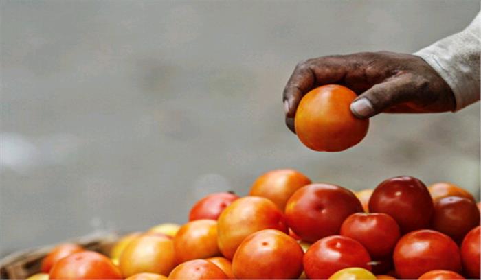 छत्तीसगढ़ : टमाटर 100 रुपये किलो