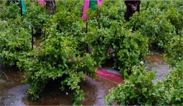 छत्तीसगढ़: ग्रामीण कृषि मौसम सेवा राष्ट्रीय परियोजना का आयोजन