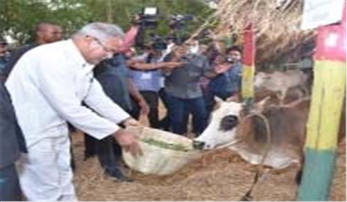 छत्तीसगढ़ का ग्राम समृद्धि मॉडल बना देश के लिए आकर्षण!