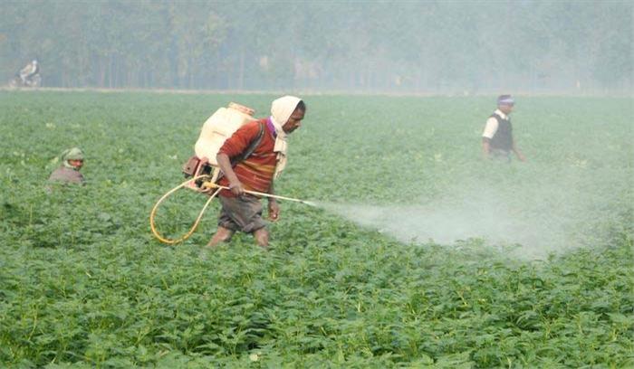 हरियाणा और रायपुर की दो दवा फर्म की कृषि दवाइयों की बिक्री पर प्रतिबंध हरियाणा और रायपुर की दो दवा फर्म की कृषि दवाइयों की बिक्री पर प्रतिबंध