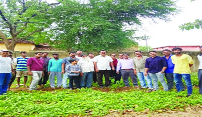 पिथौरा : हरेली त्यौहार के अवसर पर वृक्षारोपण कार्यक्रम