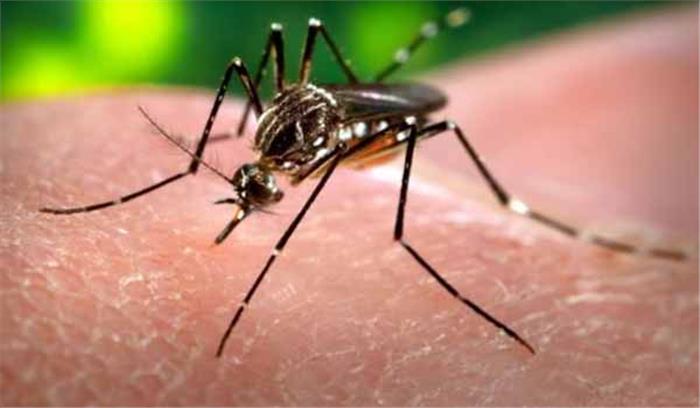 दंतेवाडा: मलेरिया से 1 बच्चे की मौत 