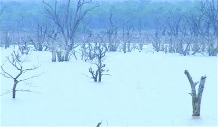 केलो डेम का जलस्तर अभी भी काफी कम