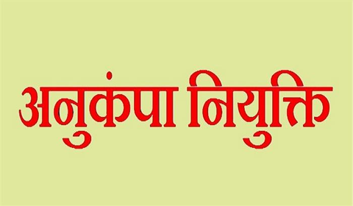 शिक्षा विभाग में हफ्तेभर में 700 की हुई अनुकम्पा नियुक्ति