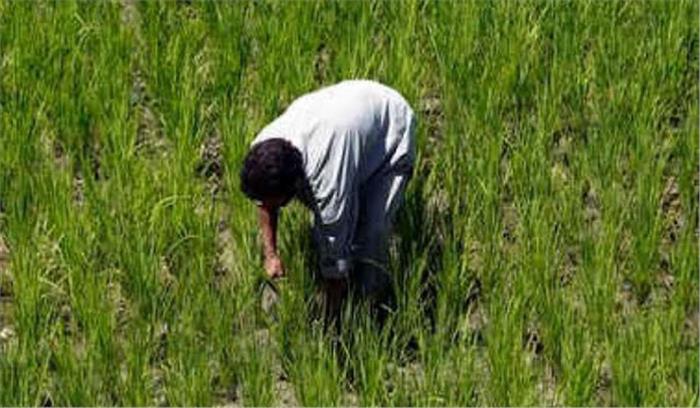 चीन की तर्ज पर अर्थक्रांति लाएगी सरकार