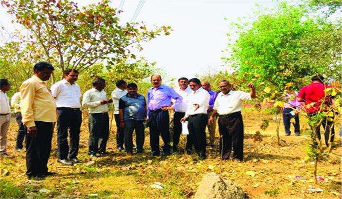 बदहाल पार्कों व सड़कों को लेकर सीईओ ने जताई नाराजगी