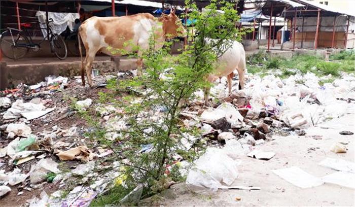 सफाई के अभाव में फैल रही गंदगी