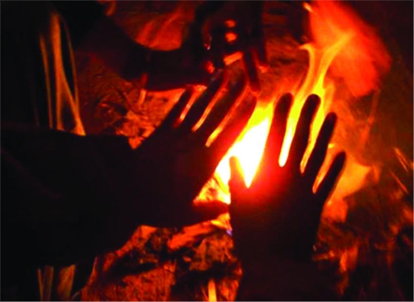 ठंड से राजधानी में 44 मौतें