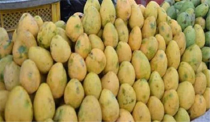 रसायनों से पके आम मानव स्वास्थ्य के लिए हानिकारक