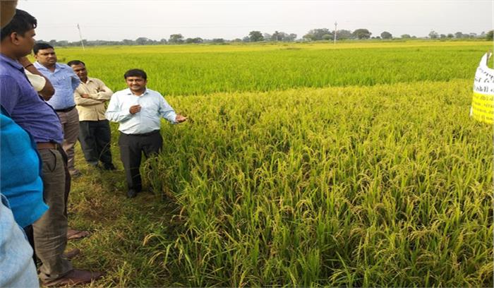 वैज्ञानिक सुमंत होल्ला ने एरोबिक धान का किया प्रदर्शन