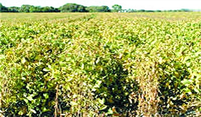 मुआवजे की मांग को लेकर किसानों ने की पंचायत