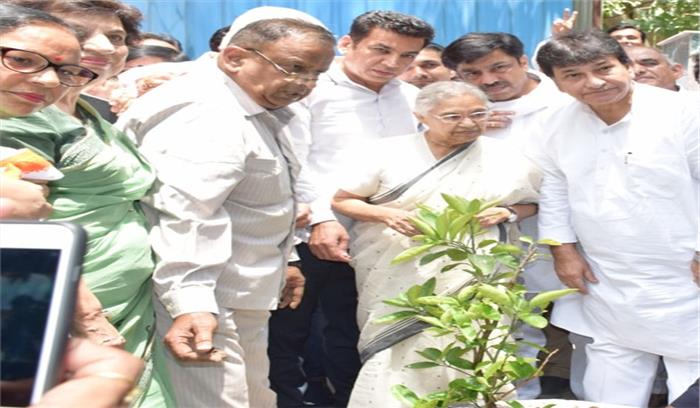 कांग्रेस राहुल गांधी के नेतृत्व में सफलता प्राप्त करेगी : शीला