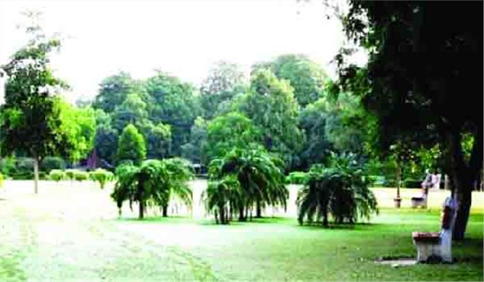 उद्यान विभाग के नौ ठेकेदारों पर पांच लाख रुपए का जुर्माना