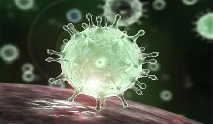 कोरोना : फ्रांस में रविवार को इस सप्ताह का सबसे कम मौतें दर्ज