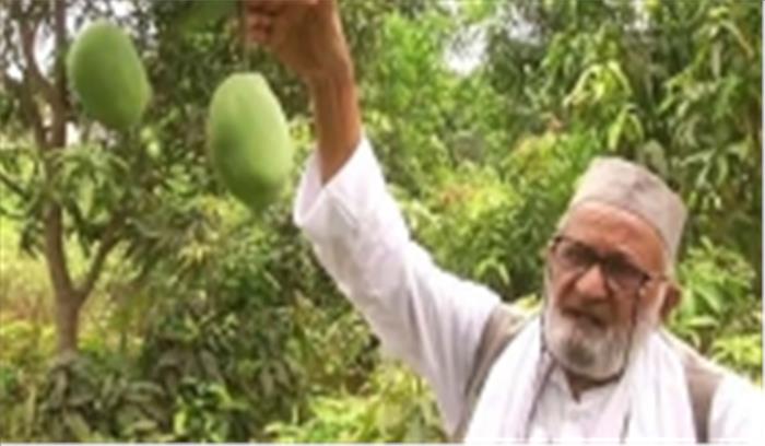 मशहूर मैंगो मैन ने विकसित किया डॉक्टर मैंगो