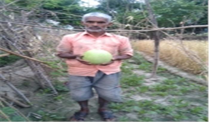 कोरोना संकट: अपनी 6 बिस्वा जमीन पर सब्जी उगाकर गरीबों में बांट रहे किसान शिवबचन प्रजापति कोरोना संकट: अपनी 6 बिस्वा जमीन पर सब्जी उगाकर गरीबों में बांट रहे किसान शिवबचन प्रजापति