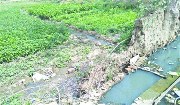 गुणवत्ताहीन नाली निर्माण से बढ़ी परेशानी गुणवत्ताहीन नाली निर्माण से बढ़ी परेशानी