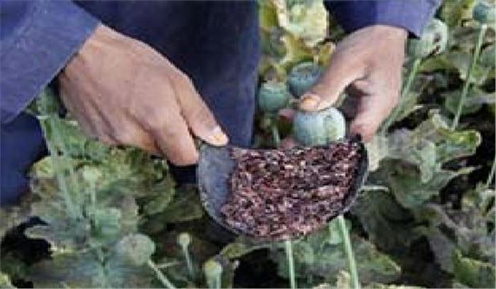 अफीम तस्करी के आरोप में 14 साल की कैद